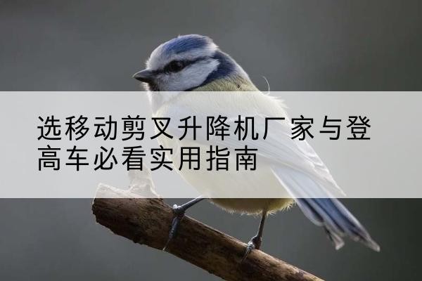 道真电动升降机厂家-选移动剪叉升降机厂家与登高车必看实用指南