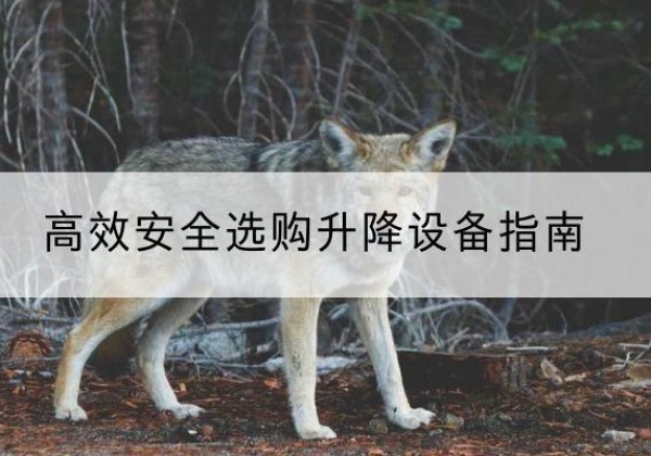 道真升降货梯厂家推荐-*安全选购升降设备指南
