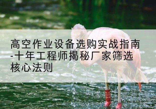 道真剪叉式升降机厂家-高空作业设备选购实战指南-十年工程师揭秘厂家筛选核心法则